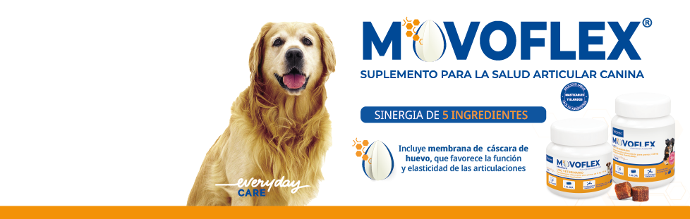 MOVOFLEX